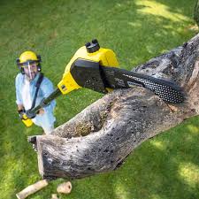 Best Aeration Services  in Sealy, TX